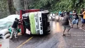 Truk Gabah Terguling di Km 36 Gumitir, Jalur Jember-Banyuwangi Macet