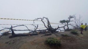 Pasca Turis China Jatuh ke Jurang, Spot Selfie di Kawah Ijen Banyuwangi Ditutup