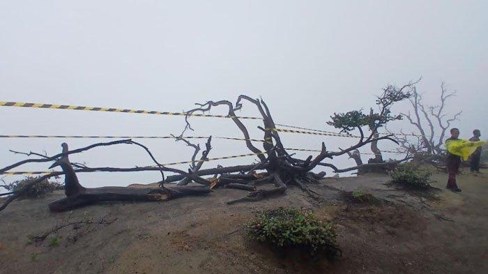 Pasca Turis China Jatuh ke Jurang, Spot Selfie di Kawah Ijen Banyuwangi Ditutup