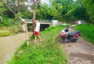 Pemuda Nyemplung di Sungai Sraten Banyuwangi, Tim Gabungan Sisir Aliran Sungai