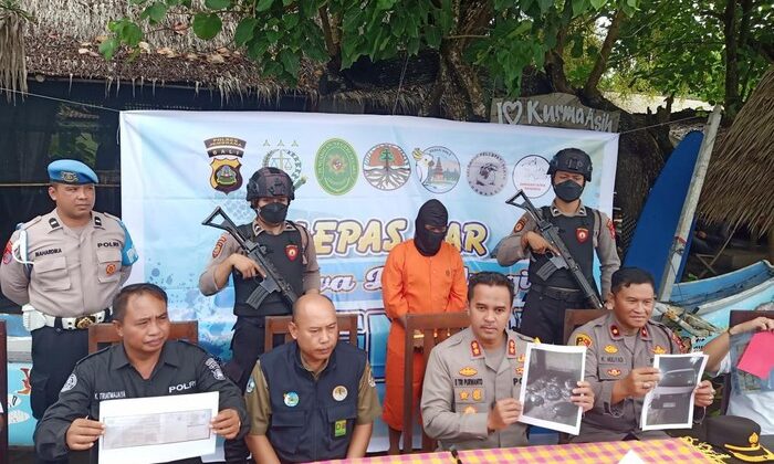 Penyelundup 18 Penyu Hijau Di Jembrana Dapat Upah Rp 800