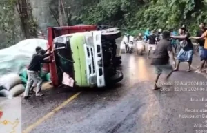 Jalur Jember-Banyuwangi macet Akibat Truk Terguling