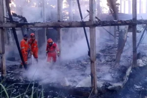 Begini Kronologi Kebakaran Kandang Ayam Milik Warga di Ambarawa Semarang