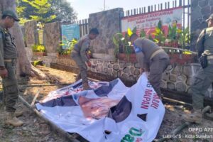 Belasan Baliho Bakal Cagub Jateng Dicopot Akibat Langgar Perda Solo