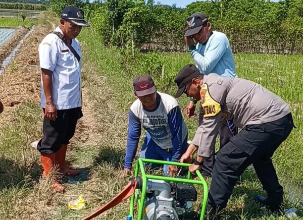 Dinas Pertanian Distribusikan Mesin Sedot Air Untuk Petani Desa Sidorejo