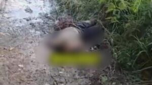 Viral Warga Demak Ditemukan Pingsan Terikat di Pinggir Kali Babon Semarang, Polisi: Masih Hidup