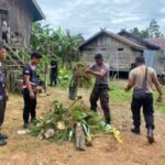 Jaga Cagar Budaya, Personil Bko Polres Lamandau Bersihkan Rumah Betang