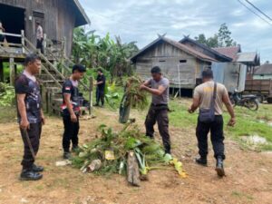 Jaga Cagar Budaya, Personil BKO Polres Lamandau Bersihkan Rumah Betang