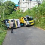 Oleng Saat Nanjak Di Tikungan, Sebuah Truk Muatan Pohon Jagung