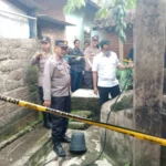 Pasang Tali Karet Di Leher, Petani Di Wringinpitu Banyuwangi Alami