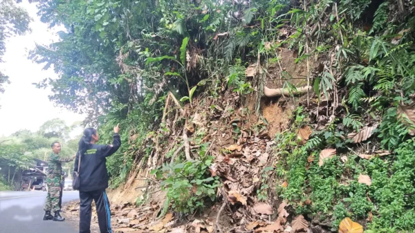 Pengguna Kendaraan Di Jalur Gumitir Wajib Waspadai 7 Titik Longsor