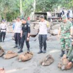 Polres Jembrana Berhasil Gagalkan Penyelundupan 14 Ekor Penyu Hijau