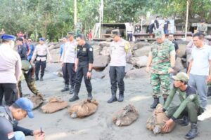 Polres Jembrana Berhasil Gagalkan Penyelundupan 14 Ekor Penyu Hijau