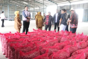 Satgas Pangan Polri Beberkan Penyebab Gagal Panen Bawang Merah di Brebes