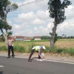 Satu Orang Tewas Dalam Kecelakaan Motor Tabrak Truk Di Banyuwangi