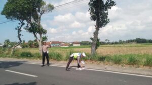 Satu Orang Tewas dalam Kecelakaan Motor Tabrak Truk di Banyuwangi