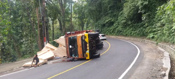 Sebuah Truk Pengangkut Triplek Terguling Di Jalur Gumitir Jember Banyuwangi