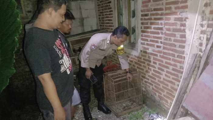 Temuan Bayi Terbungkus Plastik Purbalingga: Saksi Dengar Tangisan Di Belakang