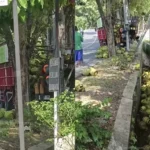 Truk Muat Tabung Gas Melon Hantam Tiang Listrik Di Gunungpati