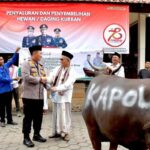 10 Sapi Dan 17 Kambing Diserahkan Kapolda Jatim Untuk Warga