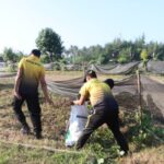 Bakti Sosial Polres Jembrana Di Desa Pengambengan Sambut Hari Bhayangkara