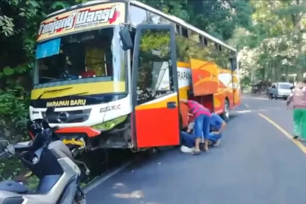 Bus Harapan Baru Kecelakaan Tunggal Di Jalur Gumitir Banyuwangi, Seperti