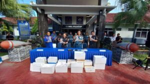 Diringkus di Cilacap, Upaya Penyelundupan Benih Lobster Rp 1,6 M Digagalkan