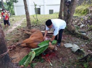 Polres Lamandau Laksanakan Kurban Pada Hari Raya Idul Adha 1445 H Tahun 2024 M