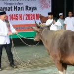 Hari Raya Idul Adha 1445 H, Polres Lamandau Laksanakan Qurban