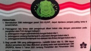 Ternyata Ini Asal SIM Palsu 2 Warga Banyuwangi yang Terjaring Razia