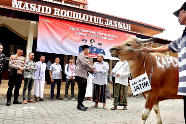 Jelang Idul Adha, Polresta Banyuwangi Serahkan Puluhan Hewan Kurban