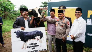 Kapolda Jateng Menyerahkan Sapi Hewan Qurban ke Ponpes WALI Kabupaten Semarang