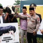 Kapolda Jateng Serahkan 3 Ekor Sapi Ke Ponpes Wali Di