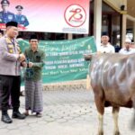 Menjelang Idul Adha, Polresta Banyuwangi Serahkan Puluhan Hewan Kurban