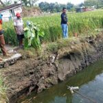 Nenek Cucu Tewas Tenggelam Di Kolam Bekas Galian C Karanganyar