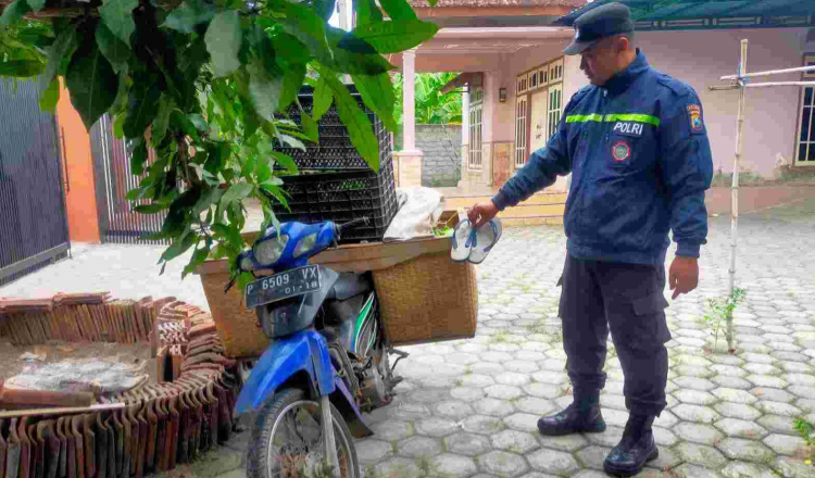 Pencuri Buah Naga Yang Bikin Resah Petani Banyuwangi Diringkus Polisi