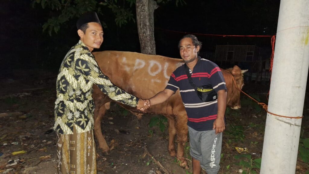 Penyerahan Hewan Qurban ke Ponpes Al Anwar IV Desa Kalipang Rembang