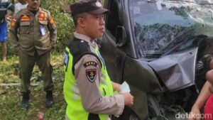 Pikap Tabrak Pohon di Sirampog Brebes, Belasan Orang Terluka