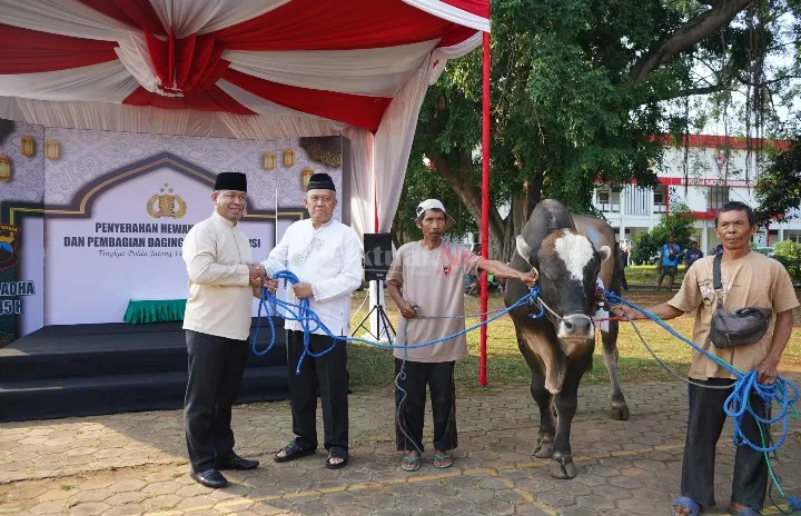 Polda Jateng Sembelih 176 Sapi Dan 215 Kambing, Kapolda Jateng