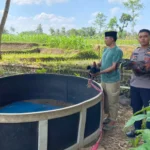 Polisi Gerebek Arena Judi Sabung Ayam Di Banyuwangi, Pelaku Lari