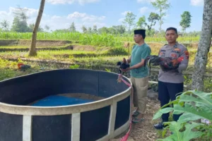 Polisi Gerebek Arena Judi Sabung Ayam di Banyuwangi, Pelaku Lari Kocar-kacir