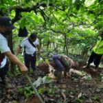 Polisi Selidiki Pembuangan Sembilan Ekor Kambing Jenis Etawa Yang Mati