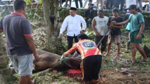 Kurban 8 Sapi dan 1 Kambing, Kapolres Lamandau: Sarana Pererat Silaturahmi Polisi dan Masyarakat