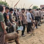 Polres Sukoharjo Beri 6 Sapi Dan 59 Kambing Untuk Qurban