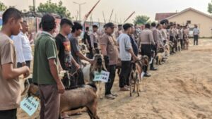 Polres Sukoharjo Beri 6 Sapi dan 59 Kambing untuk Qurban Idul Adha 1445 H