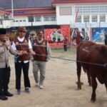 Polres Sukoharjo Menyalurkan 6 Sapi Dan 59 Kambing Untuk Qurban