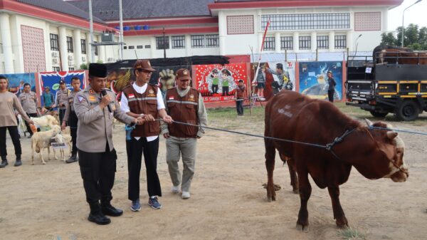 Polres Sukoharjo Menyalurkan 6 Sapi Dan 59 Kambing Untuk Qurban