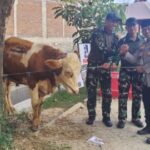 Polres Sukoharjo Salurkan 6 Sapi Dan 59 Kambing Qurban Idul