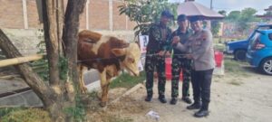 Polres Sukoharjo Salurkan 6 Sapi dan 59 Kambing Qurban Idul Adha 1445 H