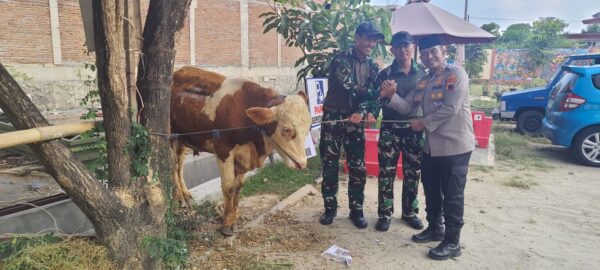 Polres Sukoharjo Salurkan 6 Sapi Dan 59 Kambing Qurban Idul